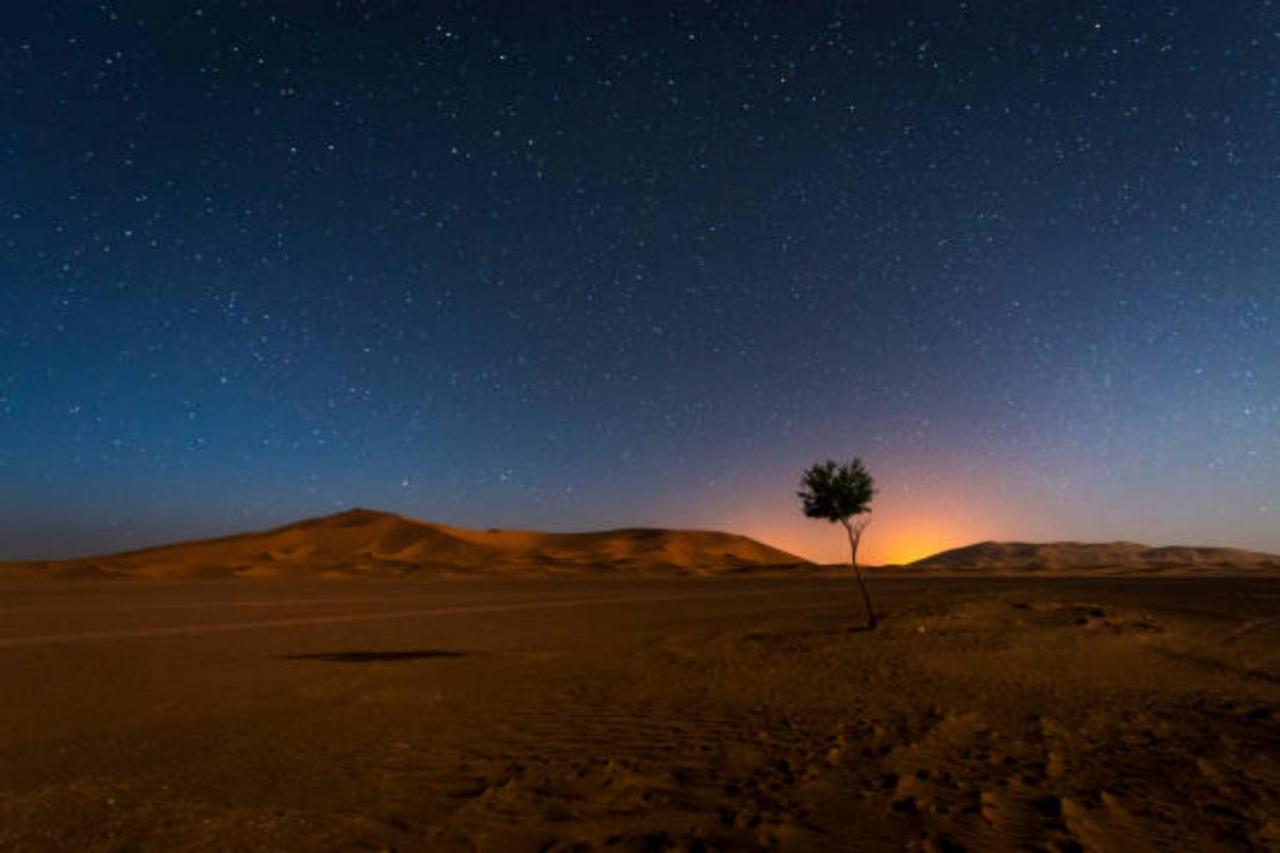 Desert Paradise Luxury Camp مرزوكة المظهر الخارجي الصورة