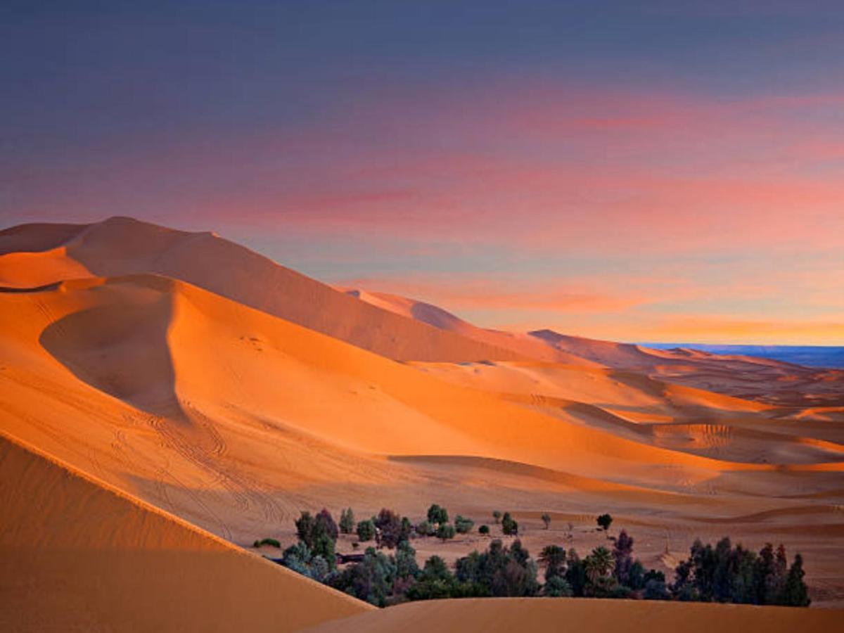 Desert Paradise Luxury Camp مرزوكة المظهر الخارجي الصورة