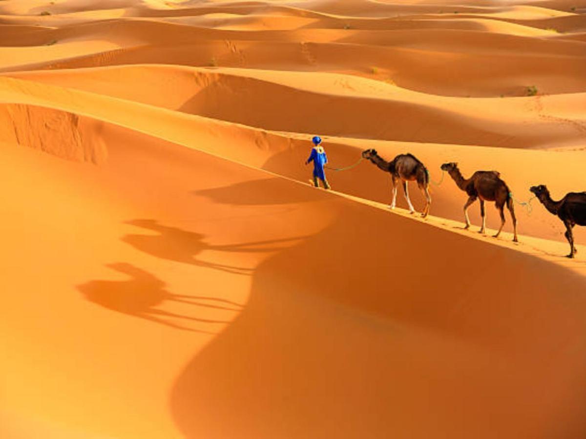 Desert Paradise Luxury Camp مرزوكة المظهر الخارجي الصورة
