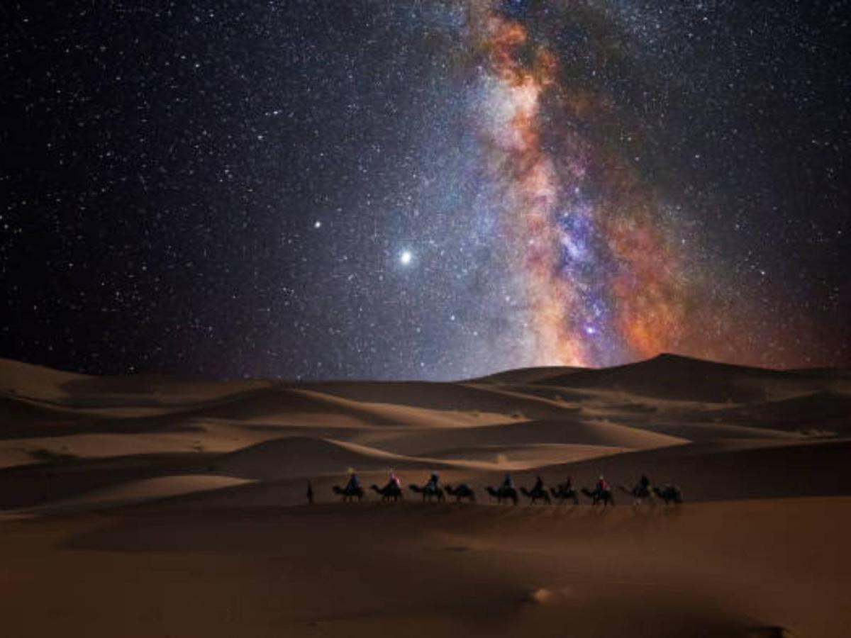 Desert Paradise Luxury Camp مرزوكة المظهر الخارجي الصورة