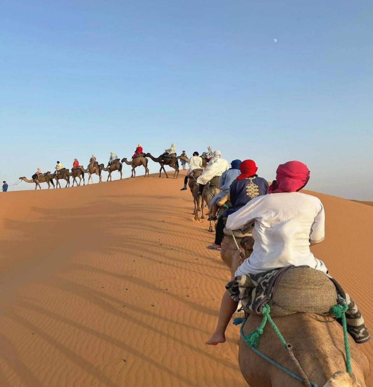 Desert Paradise Luxury Camp مرزوكة المظهر الخارجي الصورة